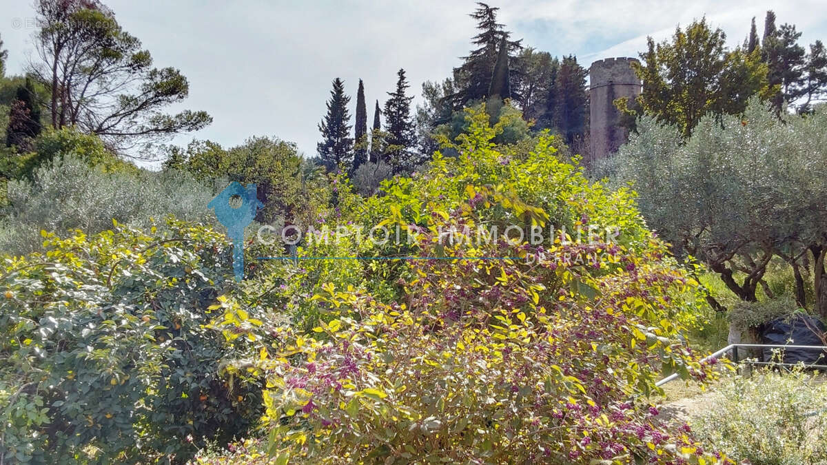 Nimes collines - superbe propriete dans un cadre de verdure - photo 24