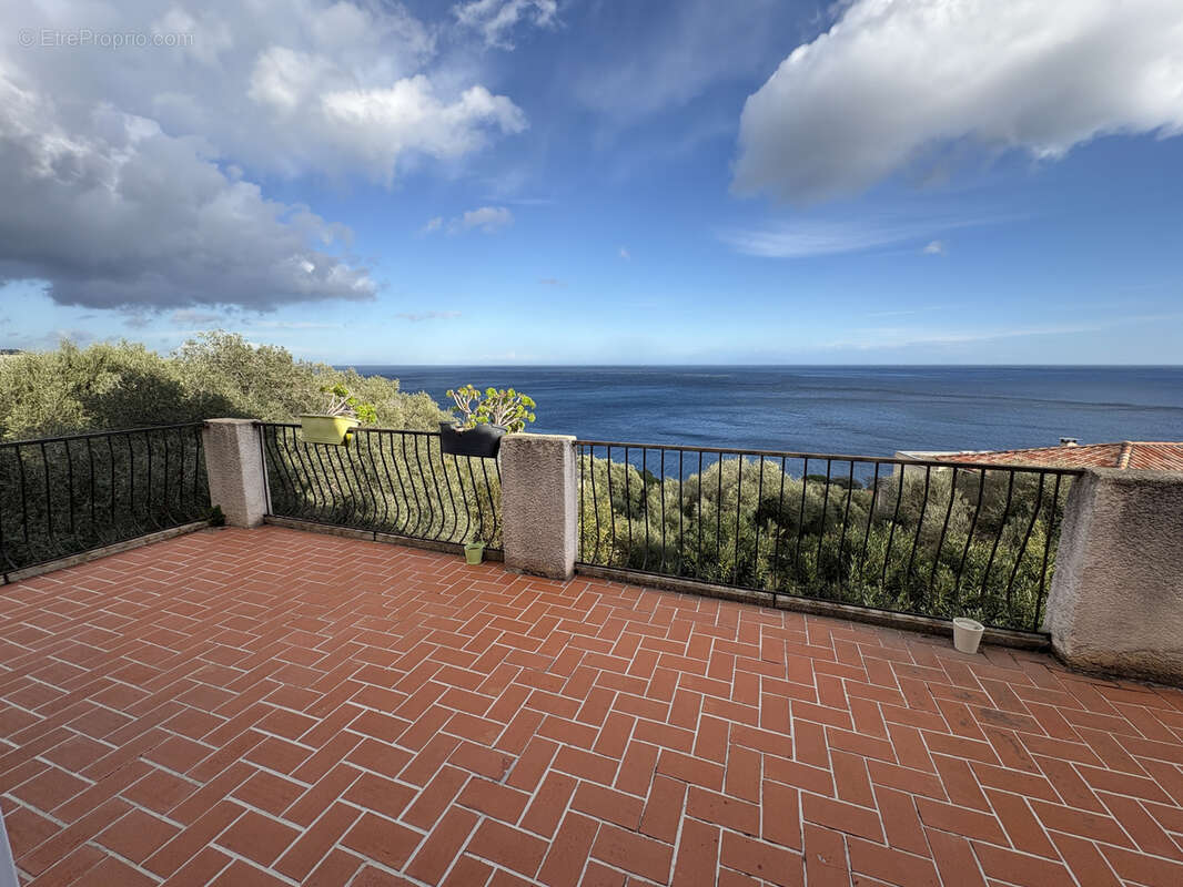 Appartement à SAN-MARTINO-DI-LOTA