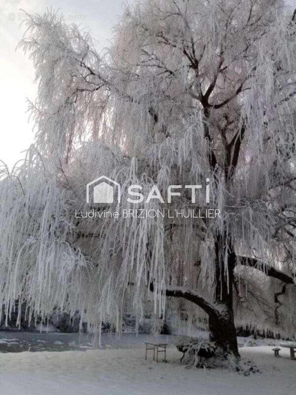 Photo 2 - Maison à WARCQ