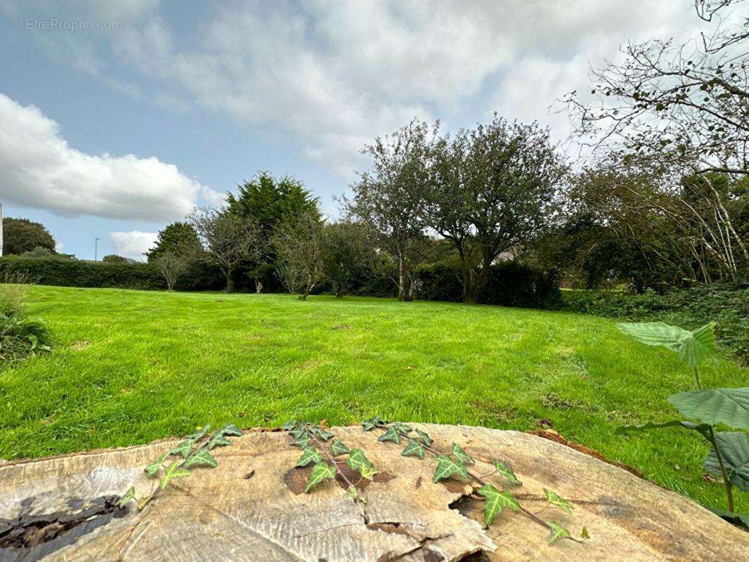 Terrain à SAINT-URBAIN