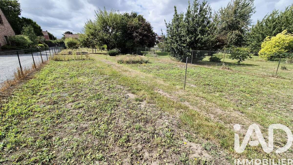 Photo 5 - Maison à VILLENEUVE-D'ASCQ