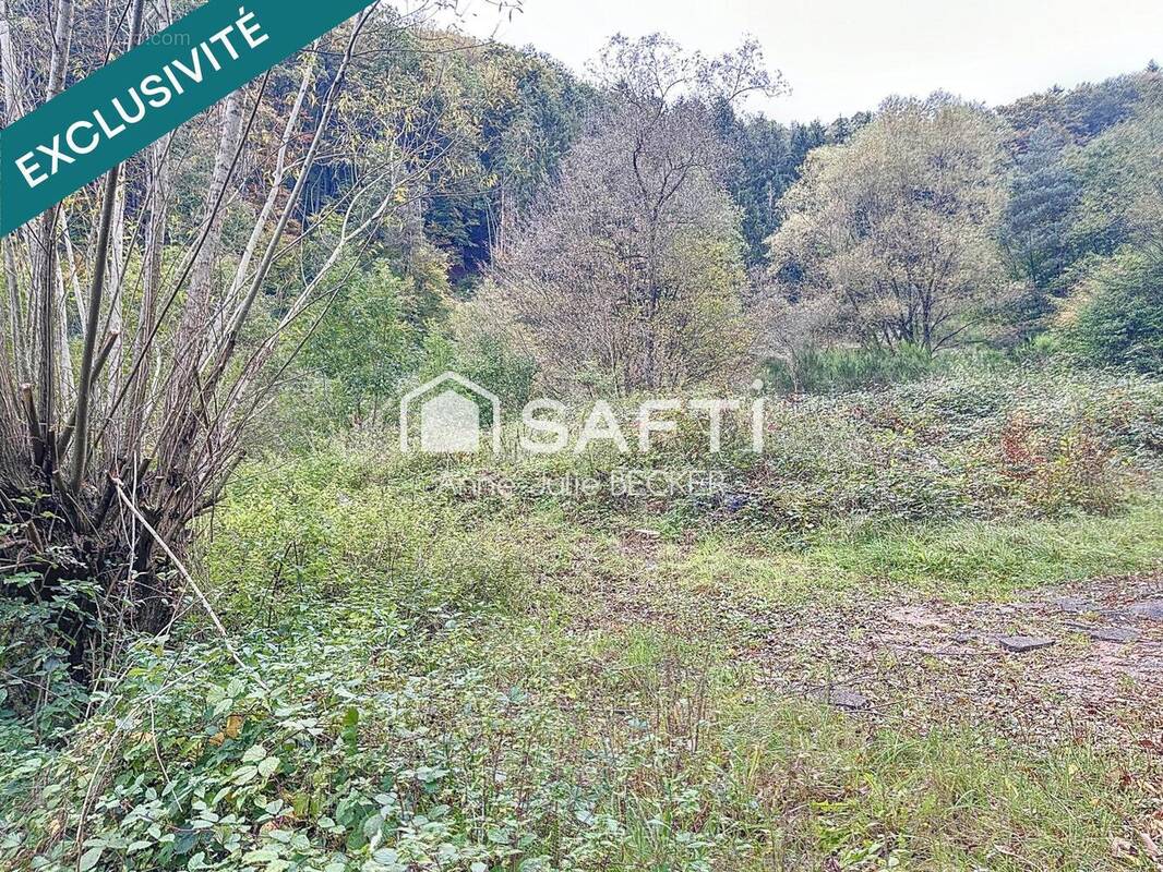 Photo 1 - Terrain à LAMBACH