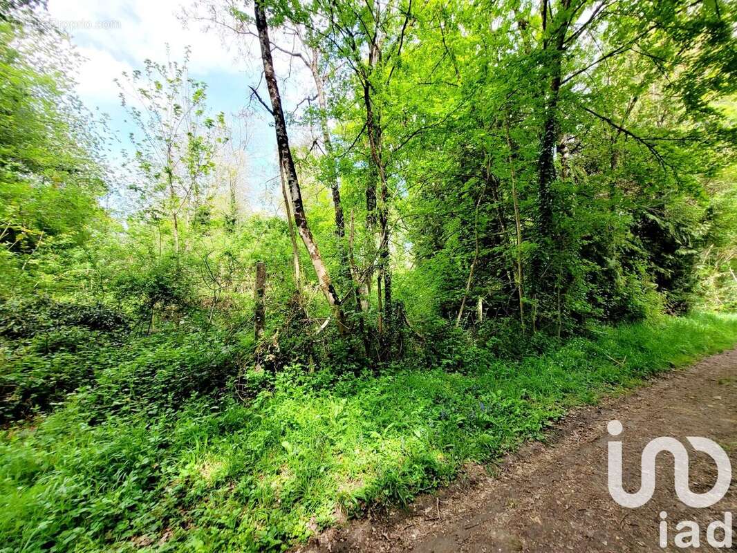 Photo 3 - Terrain à VILLENEUVE-SUR-BELLOT