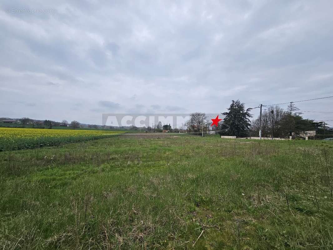 Terrain à MONTDRAGON