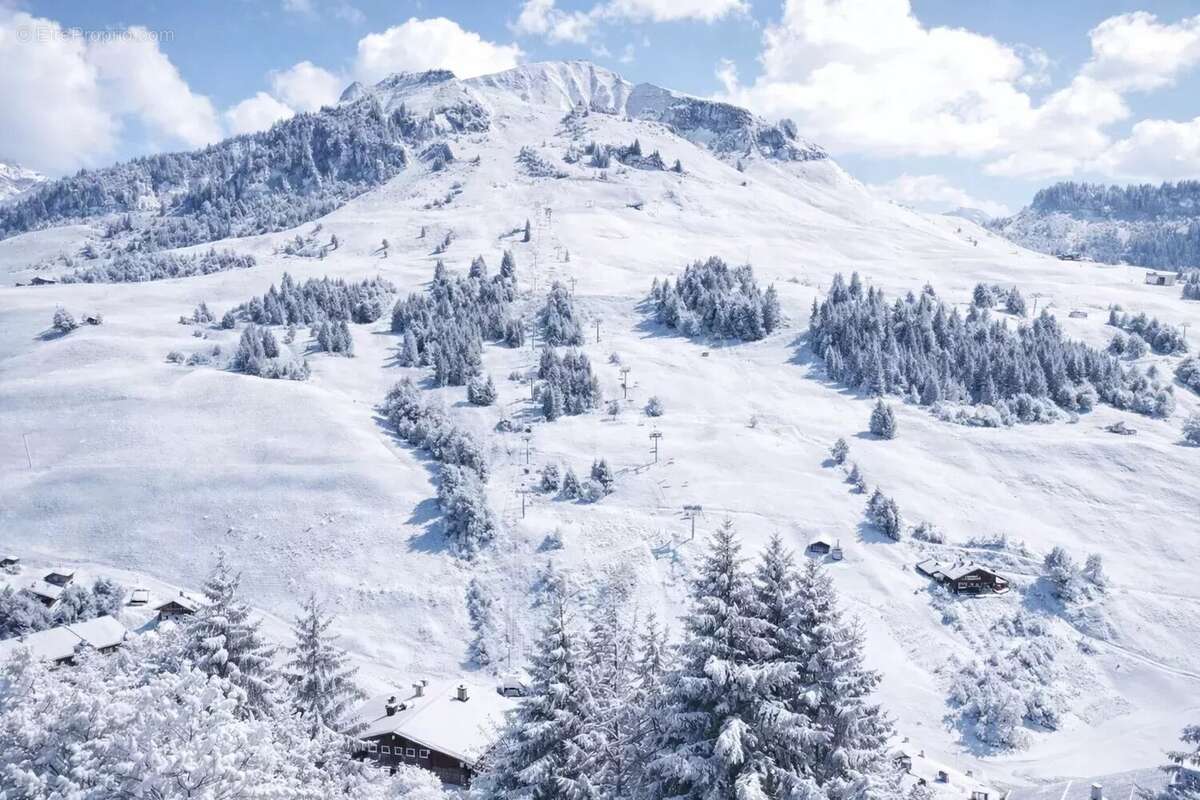 Maison à LE GRAND-BORNAND