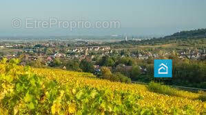 Terrain à ECKWERSHEIM