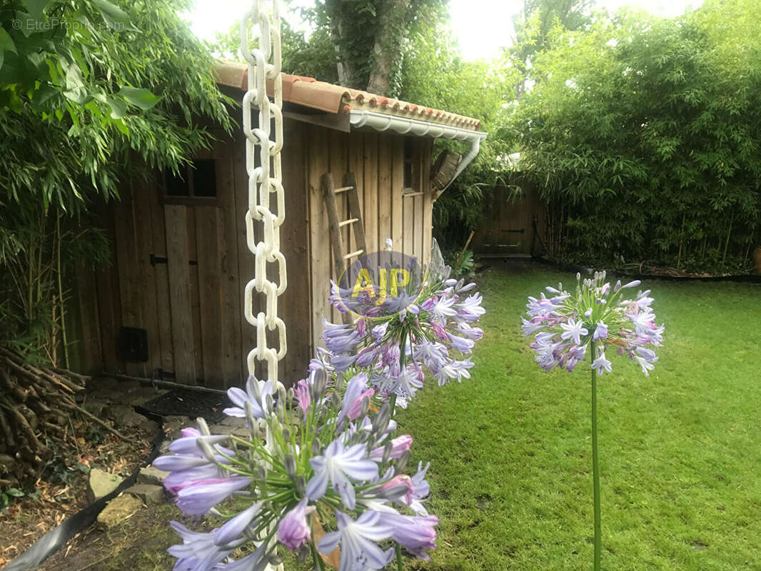 Charmante maison sur Ares - photo 7
