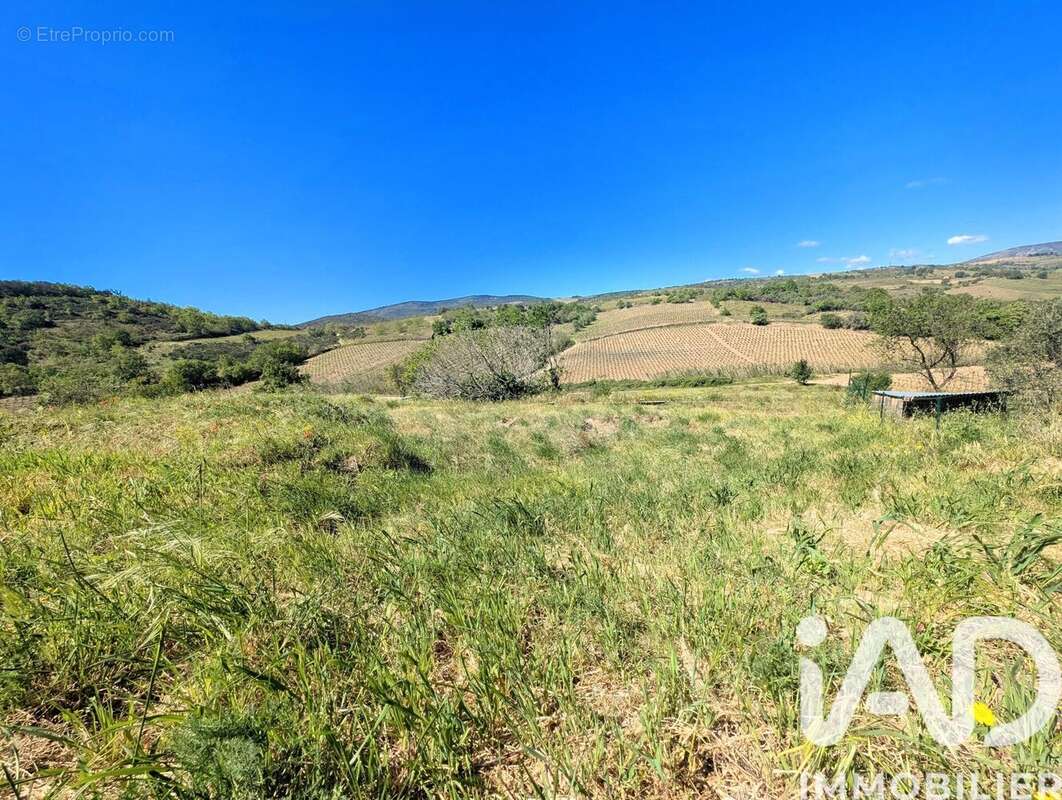 Photo 4 - Terrain à MONTNER