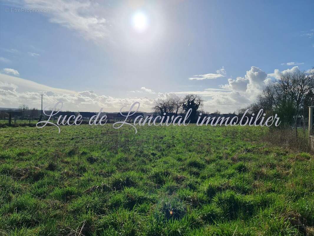 Photo 3 - Terrain à AMIGNY-ROUY