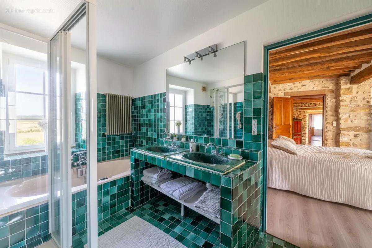 Élégante maison en pierre, 298m² à Flacourt - photo 15