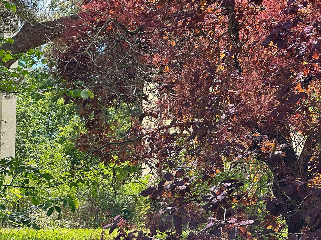 Appartement à MAISONS-LAFFITTE