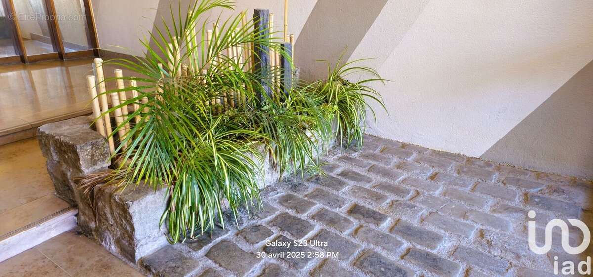 Photo 5 - Appartement à LA GRANDE-MOTTE