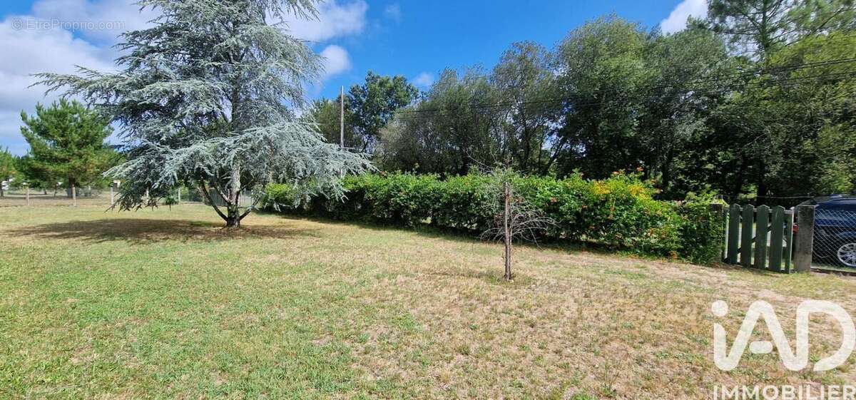 Photo 8 - Maison à BISCARROSSE