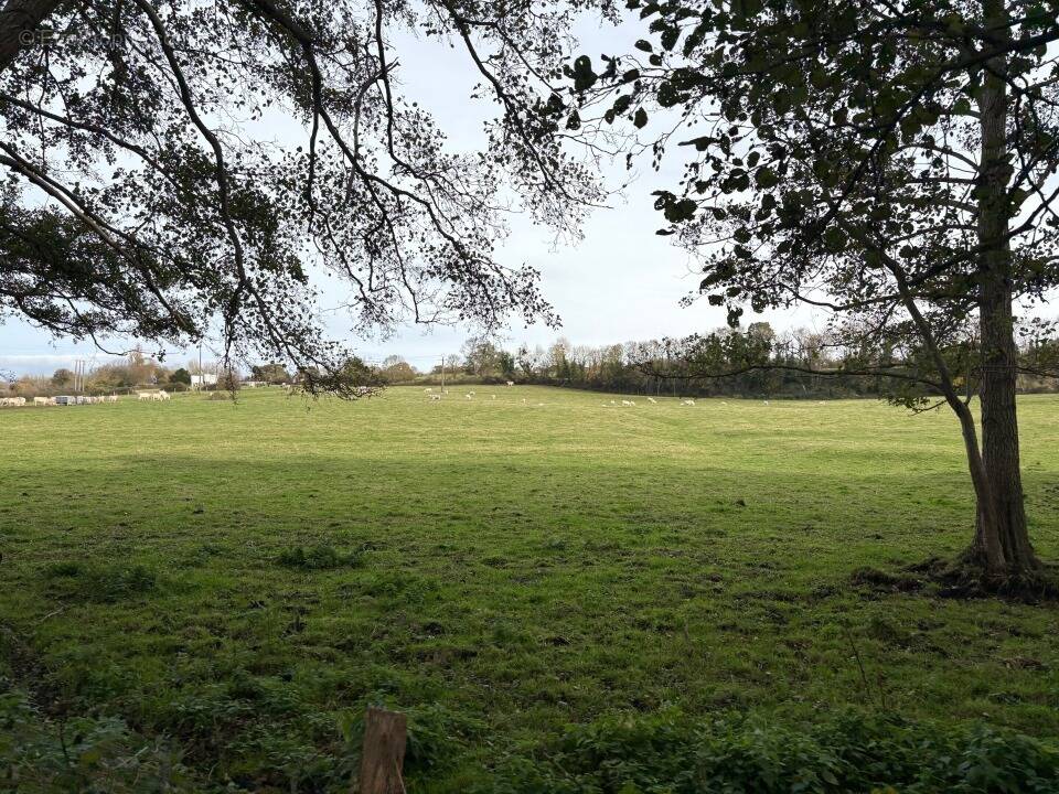Terrain à VILLERS-SUR-MER
