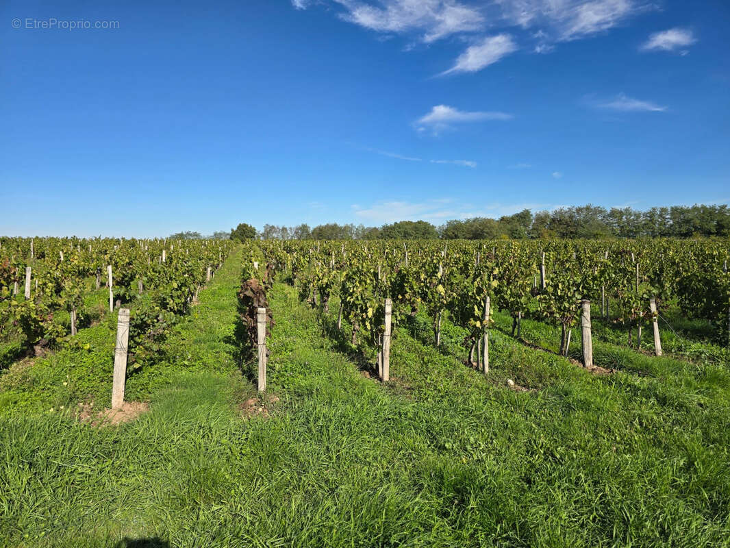 Terrain à CHATEAUMEILLANT