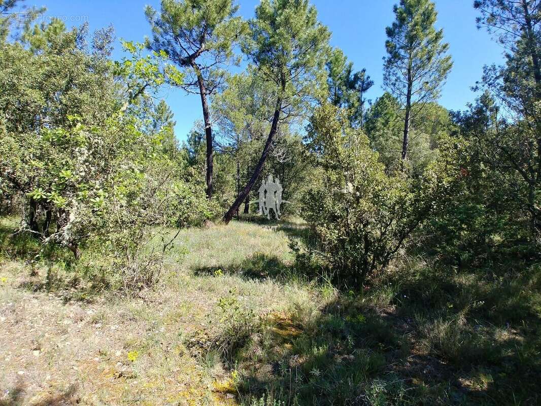 Terrain 31060 m² à Aups  - photo 21