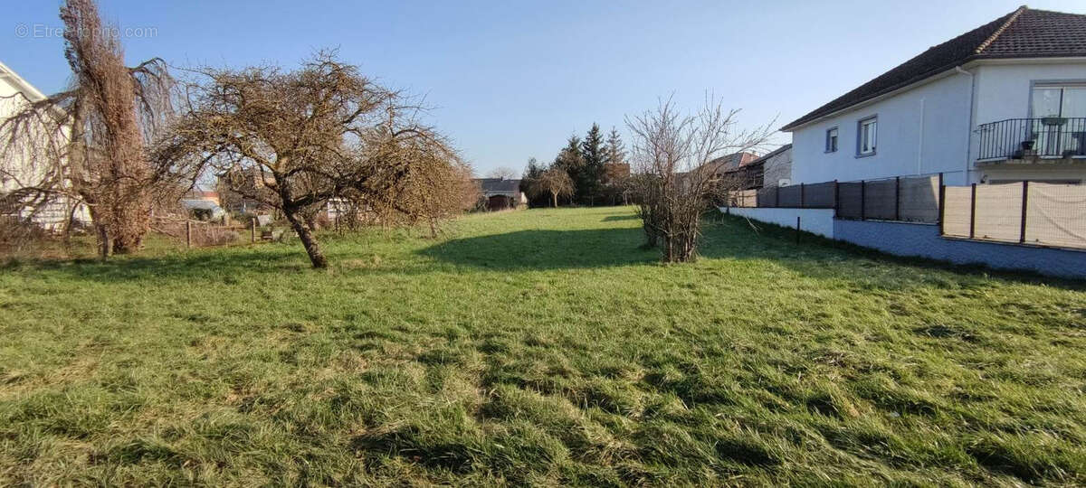 Terrain à VERGAVILLE