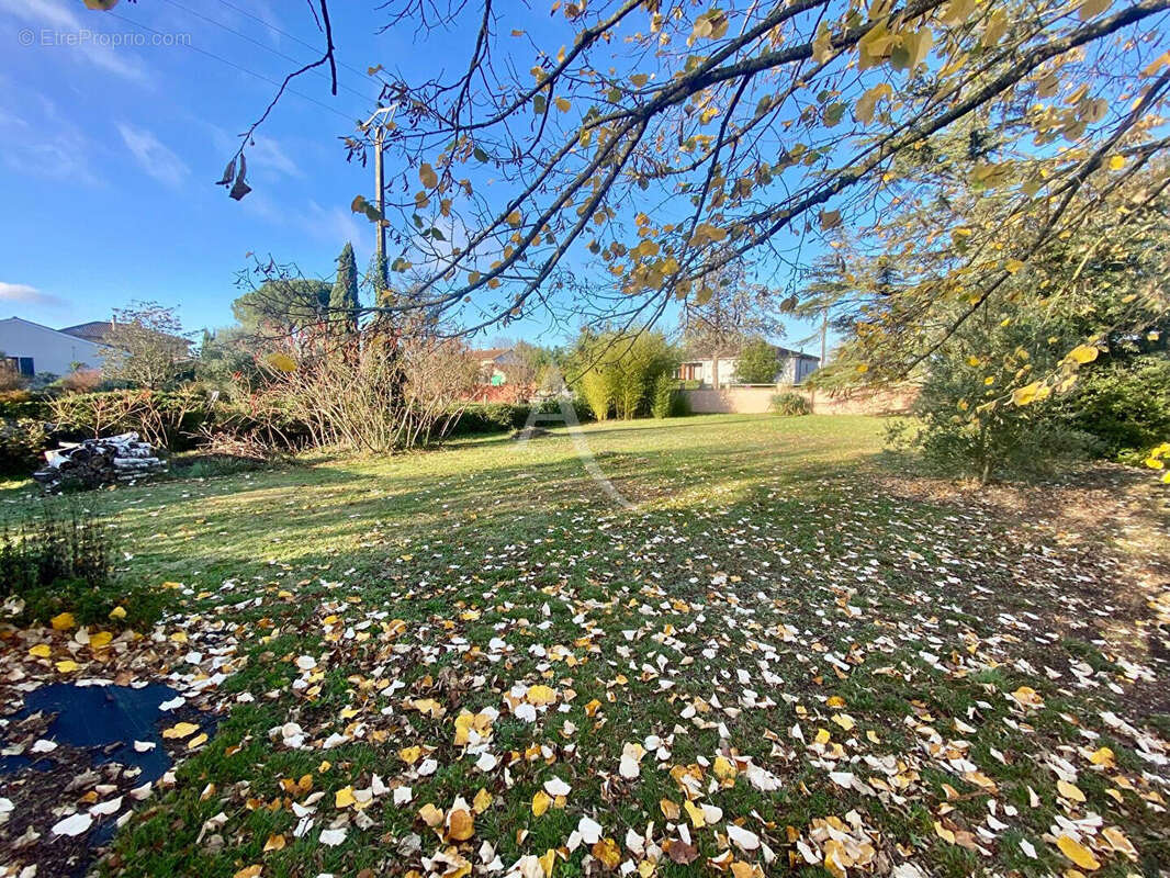 Terrain à BESSIERES