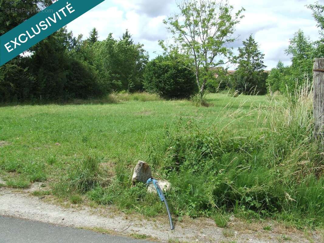 Terrain 1242 m² à Revigny-Sur-Ornain  - photo 4
