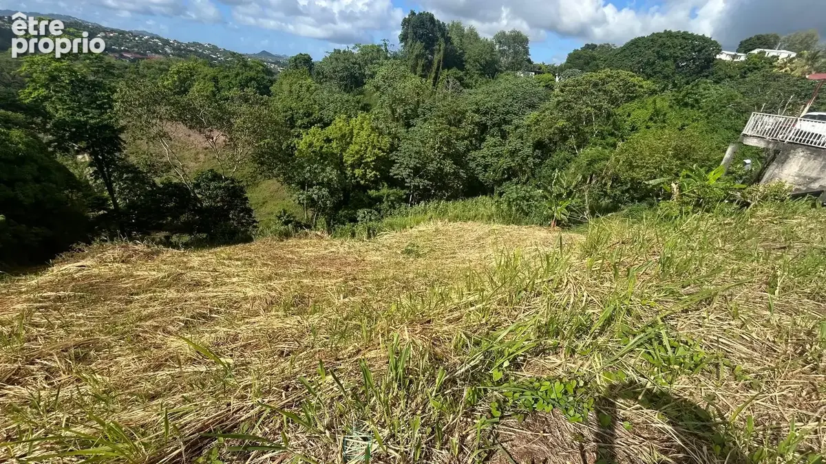 Terrain 865 m² à vendre à Riviere-Salee (97215) - photo 5
