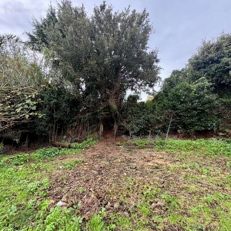 Terrain à SIX-FOURS-LES-PLAGES