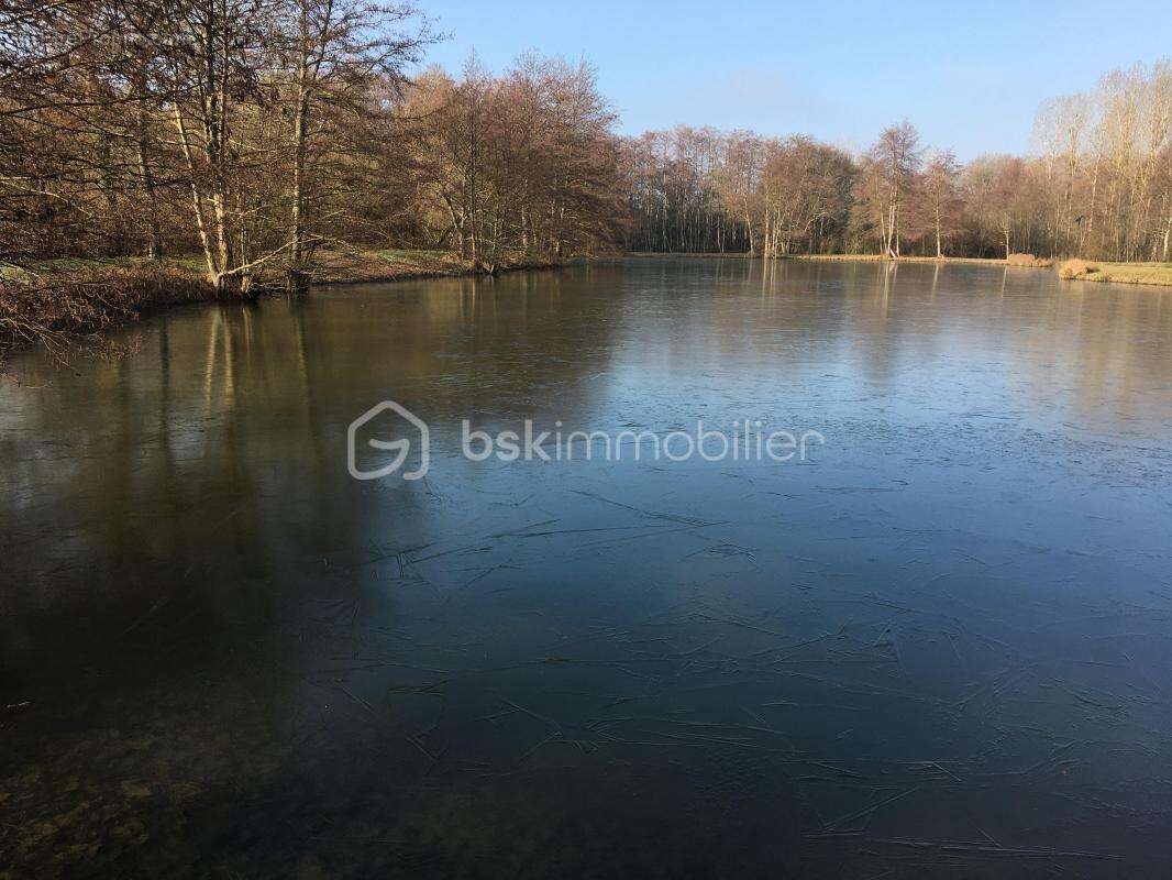 Terrain à SAINT-SAUVEUR-EN-PUISAYE