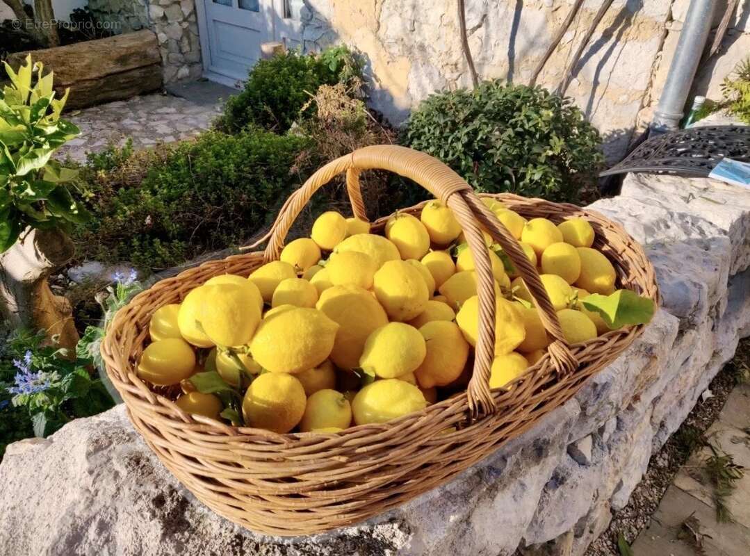 Magnifique Mas plein de charme à vendre à Roquefort-les-Pins / Côte d'Azur, - photo 17