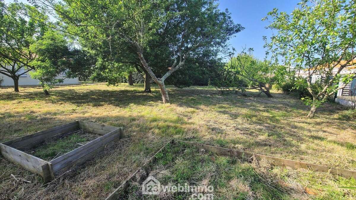 Jardin versant ouest à l'arrière de la maison - Maison à TALMONT-SAINT-HILAIRE
