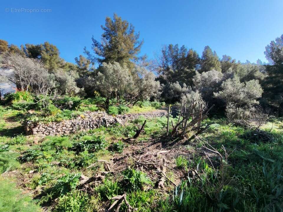 Terrain à TOULON