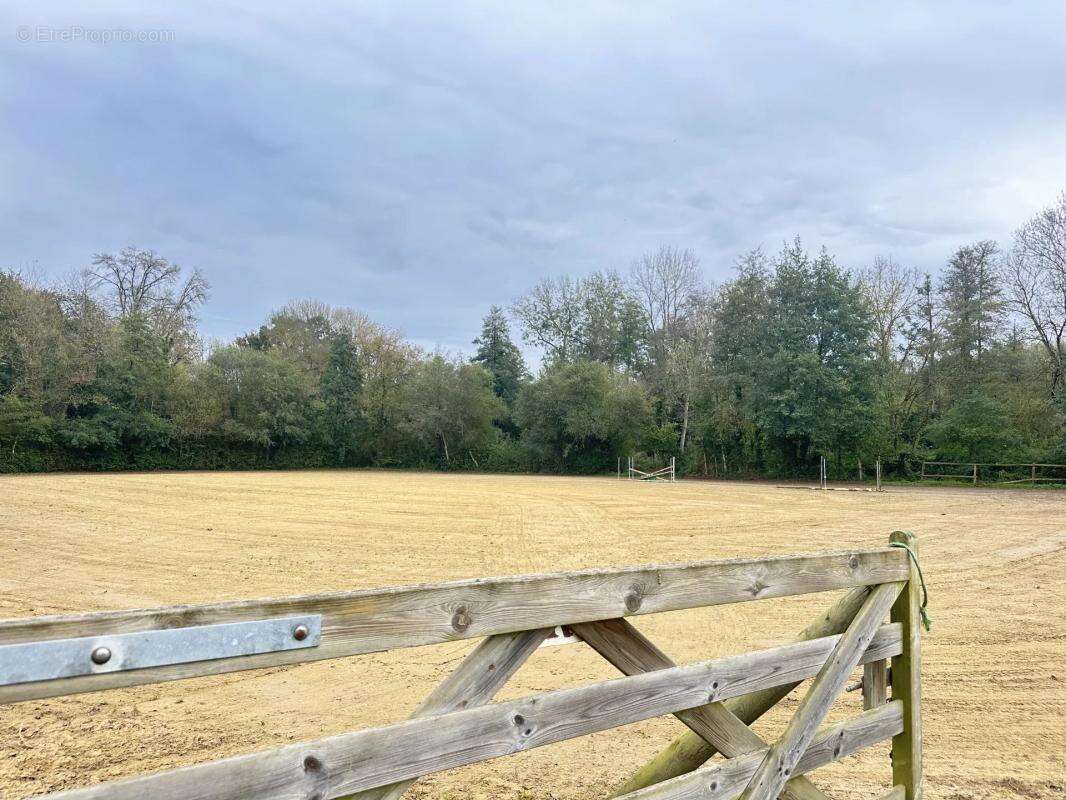 Maison à CHATEAU-DU-LOIR