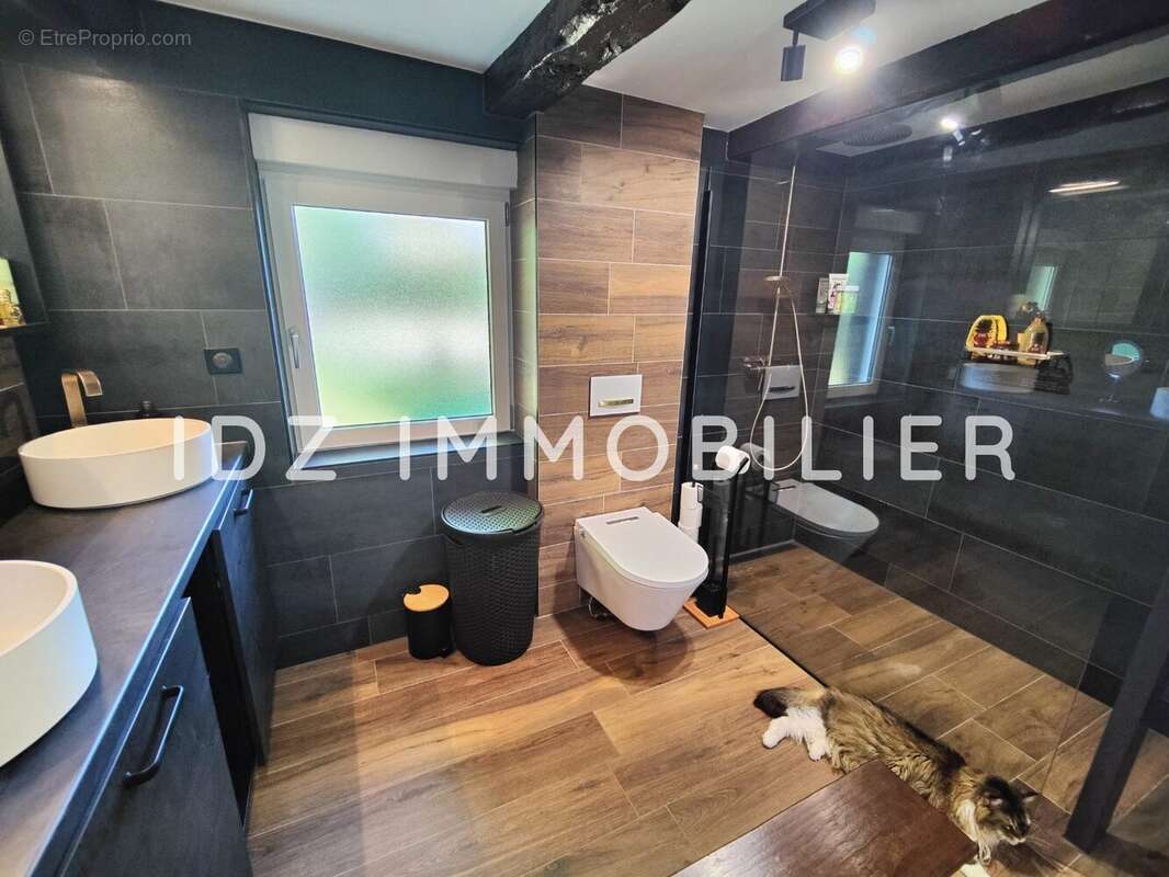 Maison 99 m² à Hesingue  - photo 5