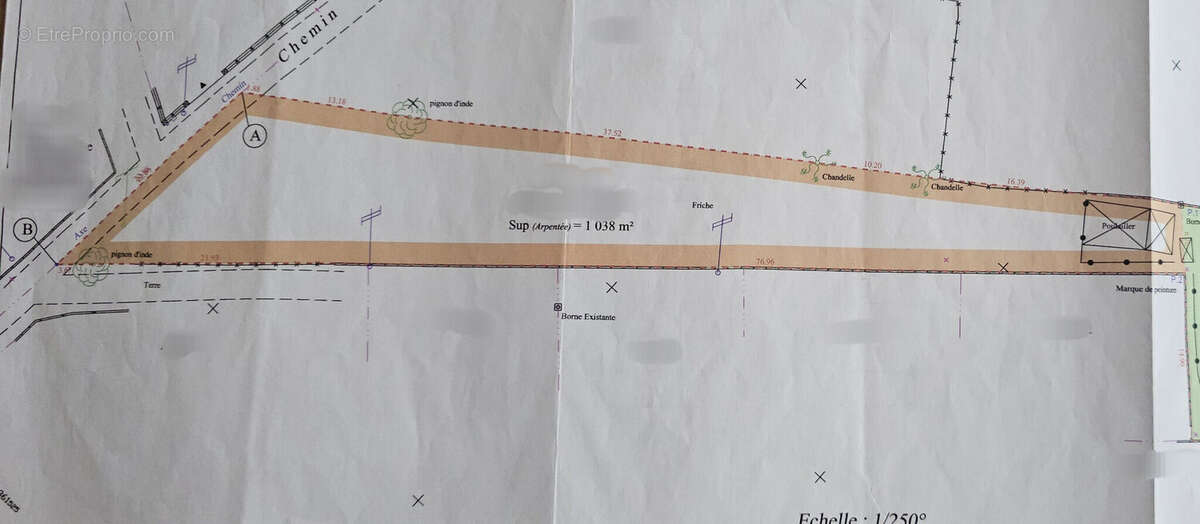 Photo 3 - Terrain à SAINT-ANDRE