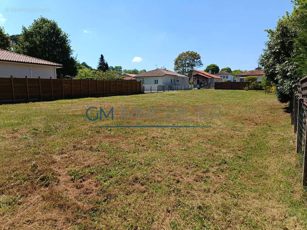 Terrain à SAINT-PIERRE-DU-MONT