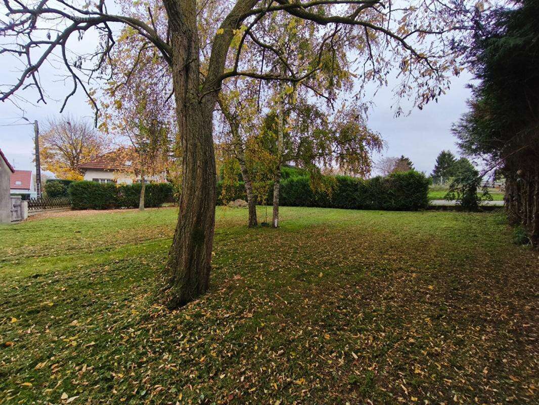 Maison à AMIGNY-ROUY