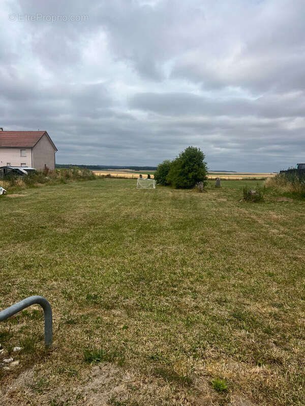 Terrain à LA VILLE-AUX-BOIS-LES-PONTAVERT