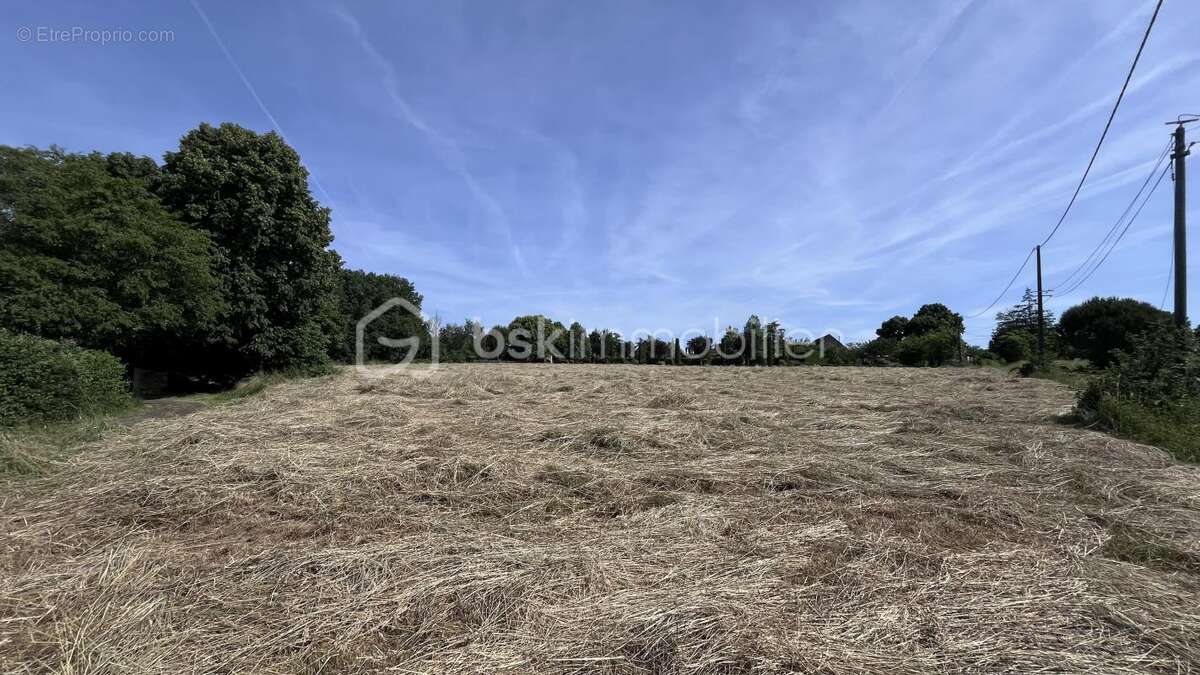 Terrain à PEYRIGNAC