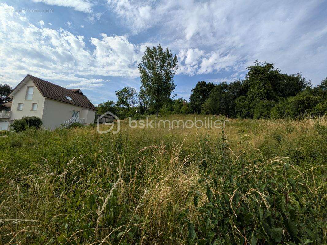 Terrain constructible à Champillon - photo 10