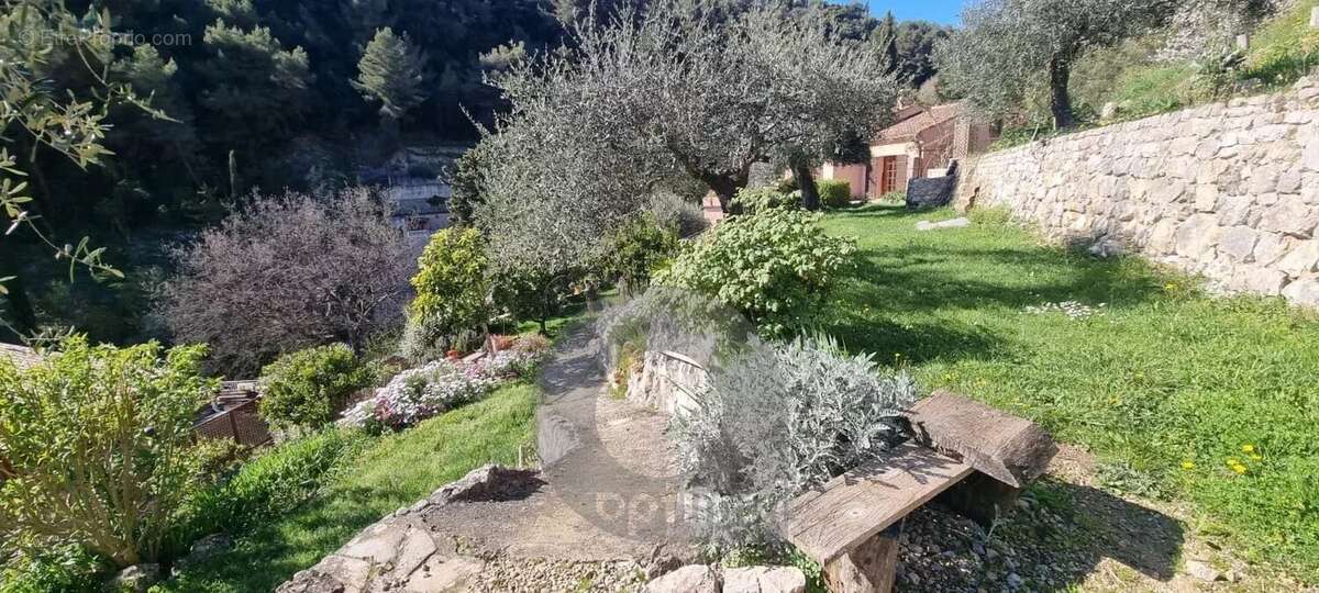 Maison à MENTON