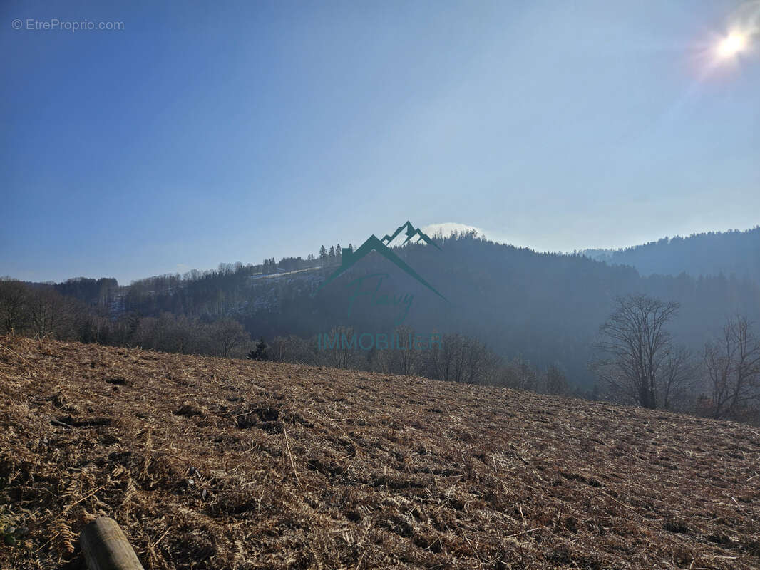 Terrain de 6500m2 dont 2300m2 constructible - photo 8