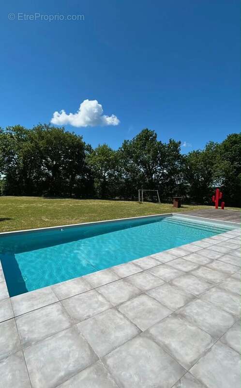 Maison d'architecte avec vue dominante, terrain et garage. - photo 12