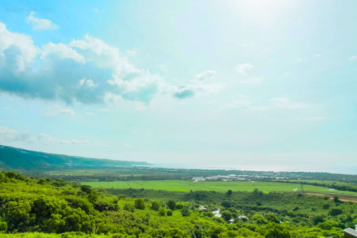 Terrain à SAINT-PAUL