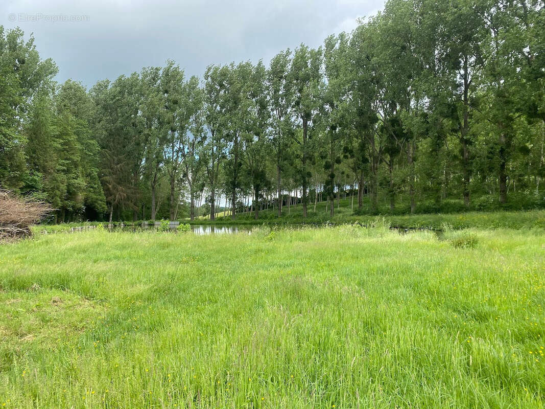 Terrain à HIRSON