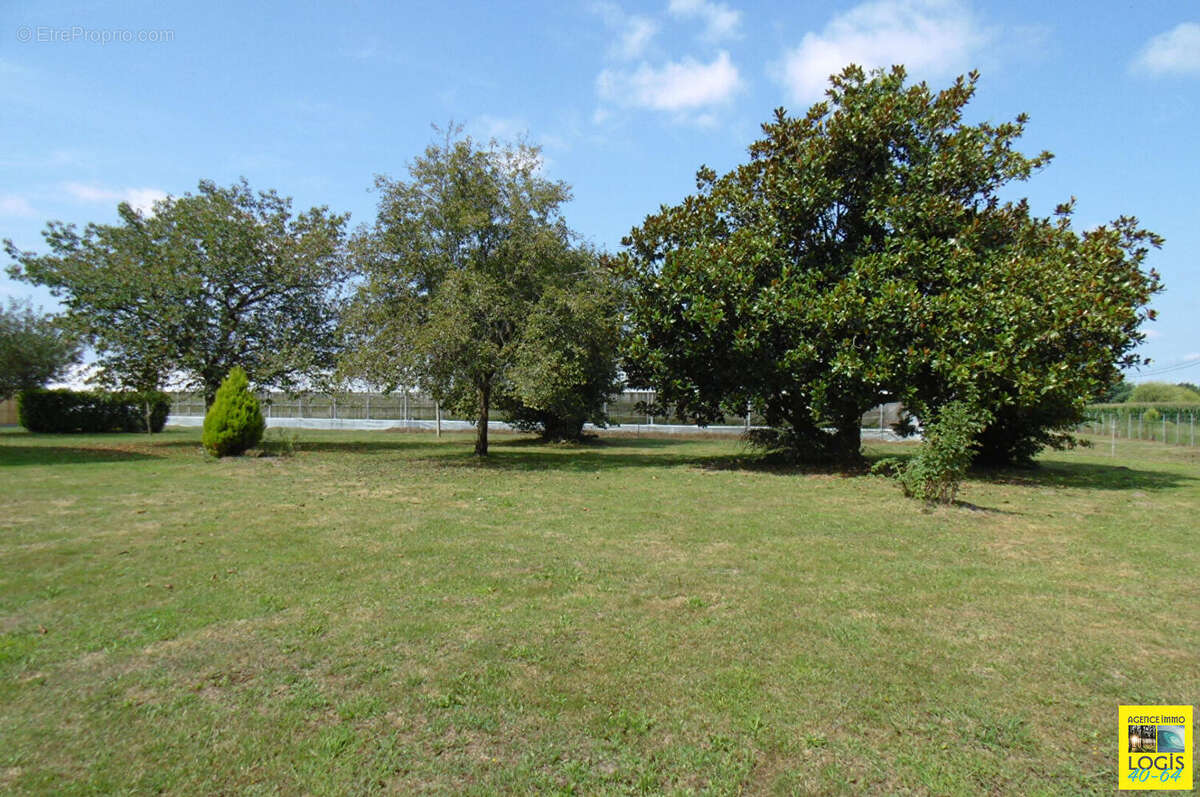 Maison à SAINT-ETIENNE-D'ORTHE
