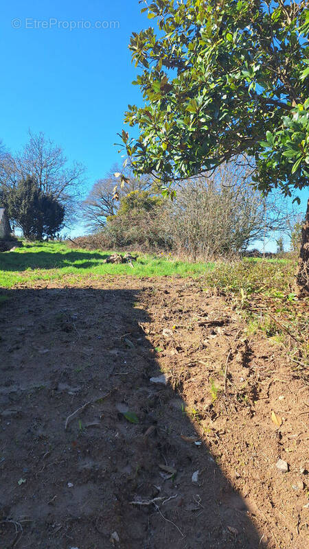 Terrain à PONTCHATEAU