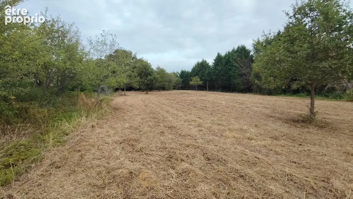 Terrain à vendre de 3 620,00 m² LE HOUGA (32) - photo 5