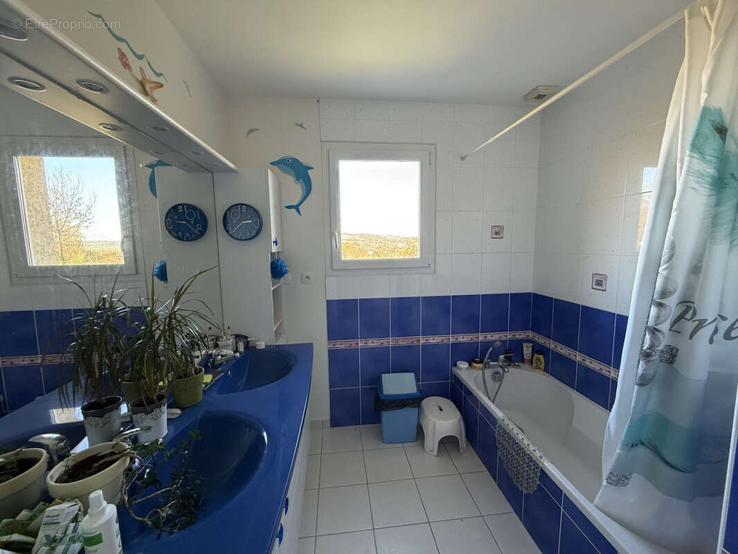 Maison à CHONAS-L&#039;AMBALLAN