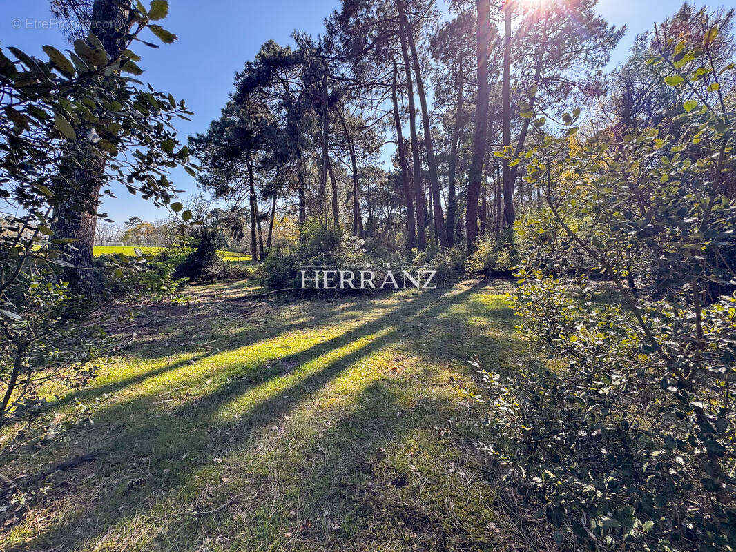 Terrain à EYSINES