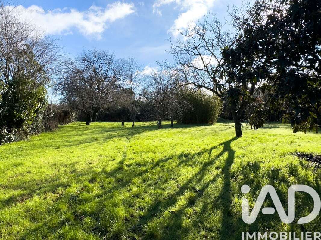 Photo 7 - Maison à TOURNEFEUILLE