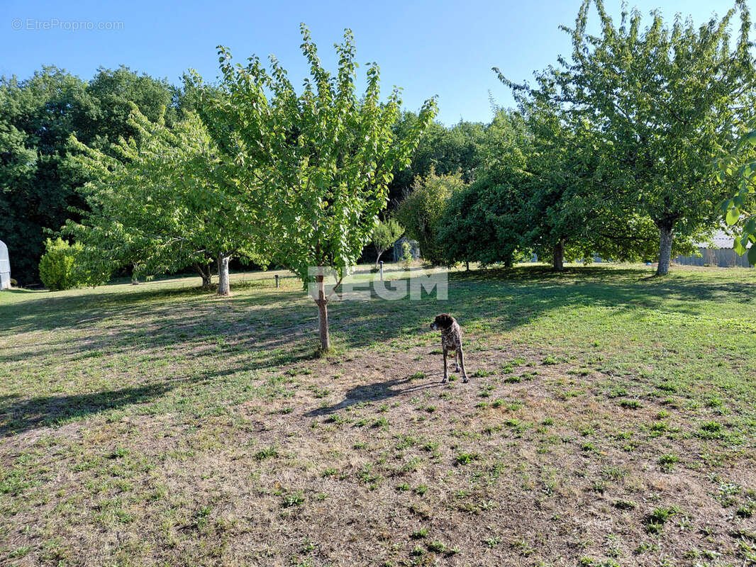 Très bel ensemble immobilier, comprenant maison avec piscine dans parc, grande serre pour tous légumes, hangar - photo 16