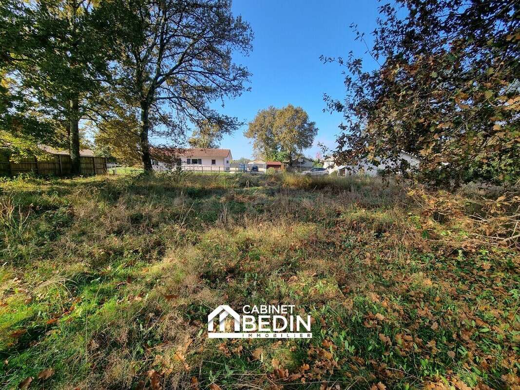 Terrain à BELIN-BELIET